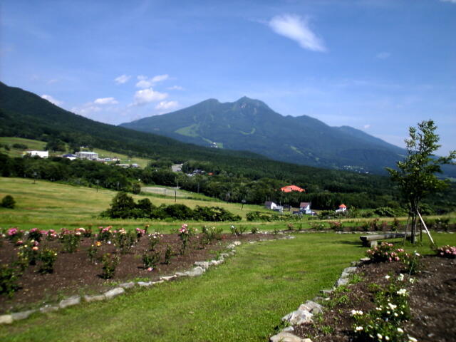 Nagano Japan Booking Code