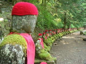 Nikko Japan Booking Code
