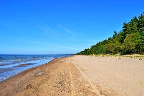 Estonia Booking.com